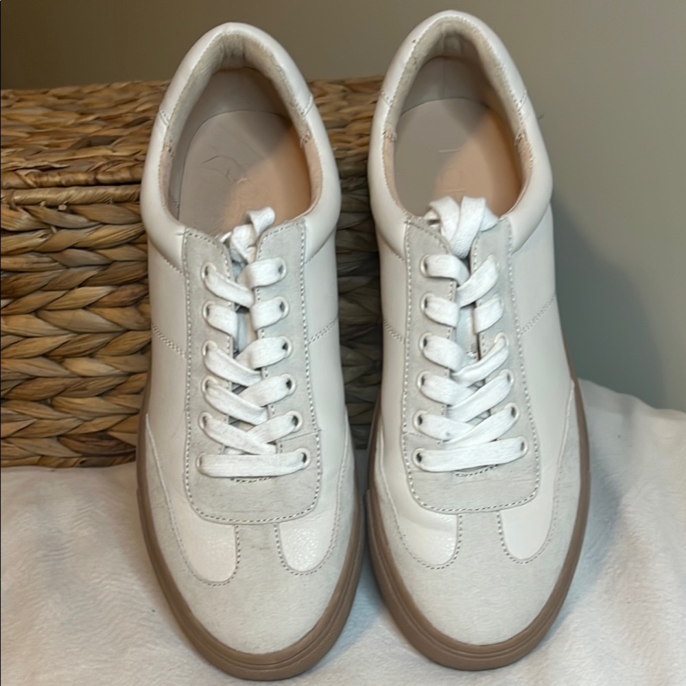 Loft Varsity Casual Sneakers